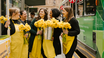 Daffodil Day
